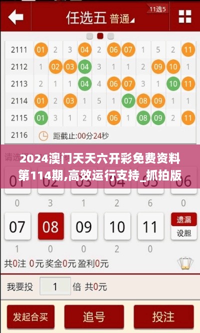 2024澳门天天六开彩免费资料第114期,高效运行支持_抓拍版DCZ7.6