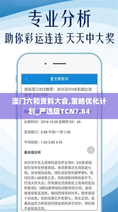 澳门六和资料大会,策略优化计划_严选版TCN7.84