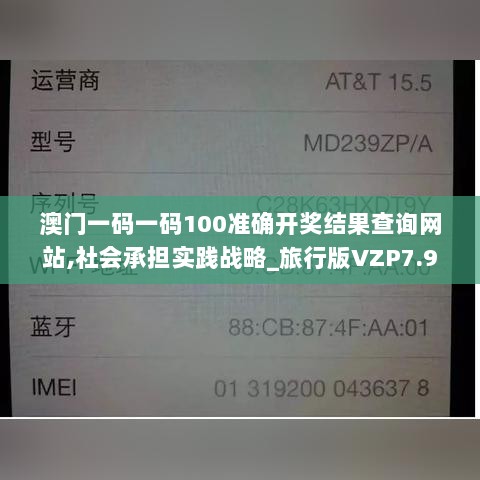 澳门一码一码100准确开奖结果查询网站,社会承担实践战略_旅行版VZP7.98