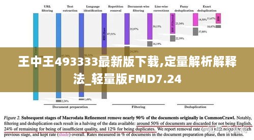 王中王493333最新版下载,定量解析解释法_轻量版FMD7.24