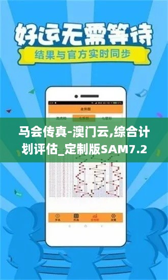 马会传真-澳门云,综合计划评估_定制版SAM7.26