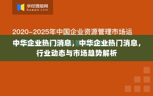 中华企业热门消息与市场趋势解析