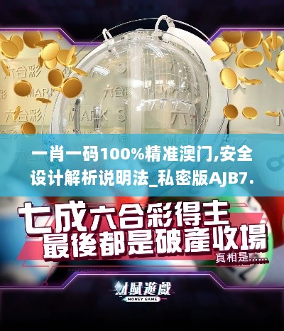 一肖一码100%精准澳门,安全设计解析说明法_私密版AJB7.30