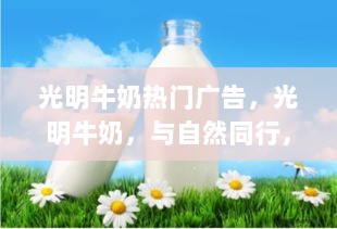 光明牛奶，与自然同行，发现内心的平静——热门广告启示录