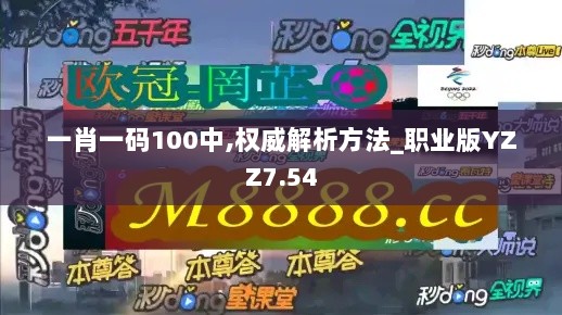 一肖一码100中,权威解析方法_职业版YZZ7.54