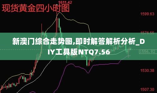 新澳门综合走势图,即时解答解析分析_DIY工具版NTQ7.56