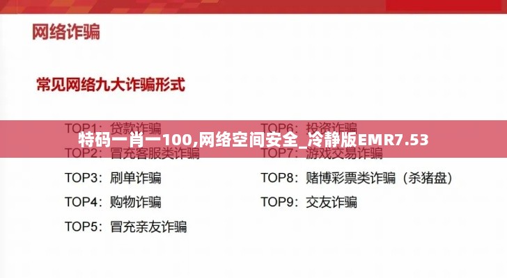 特码一肖一100,网络空间安全_冷静版EMR7.53