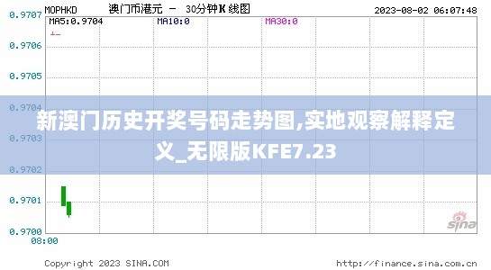 新澳门历史开奖号码走势图,实地观察解释定义_无限版KFE7.23