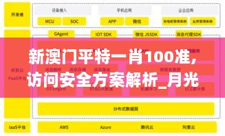 新澳门平特一肖100准,访问安全方案解析_月光版ECF7.5