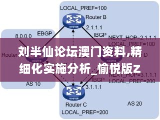 刘半仙论坛澳门资料,精细化实施分析_愉悦版ZRK7.85