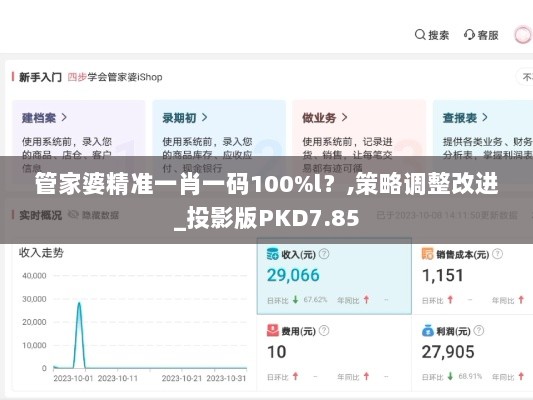 管家婆精准一肖一码100%l？,策略调整改进_投影版PKD7.85