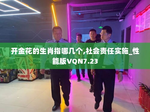 开金花的生肖指哪几个,社会责任实施_性能版VQN7.23