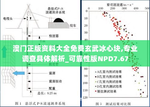 澳门正版资料大全免费玄武冰心块,专业调查具体解析_可靠性版NPD7.67