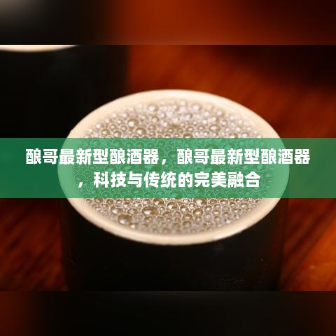 酿哥最新型酿酒器，科技与传统完美融合的酿造神器