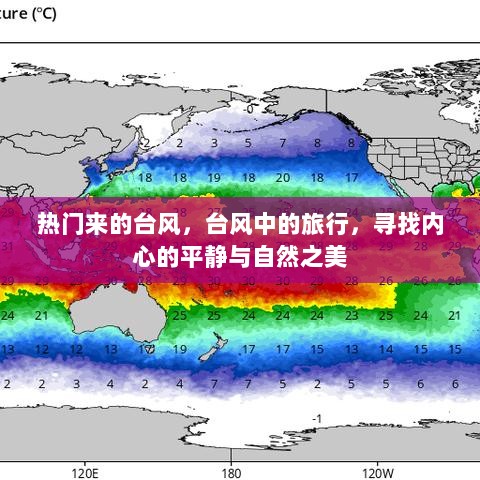 台风中的心灵之旅，寻找内心的平静与自然之美