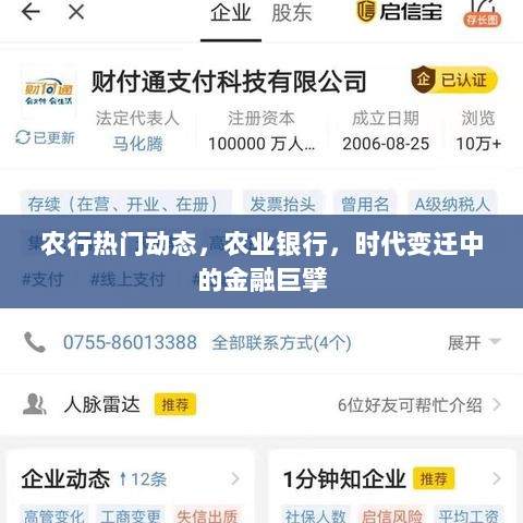 农行时代变迁，金融巨擘的热门动态