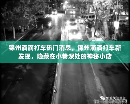 锦州滴滴打车新探索，隐藏在小巷深处的神秘小店揭秘