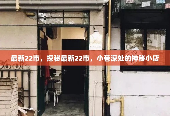 探秘最新22市，小巷深处的神秘小店之旅