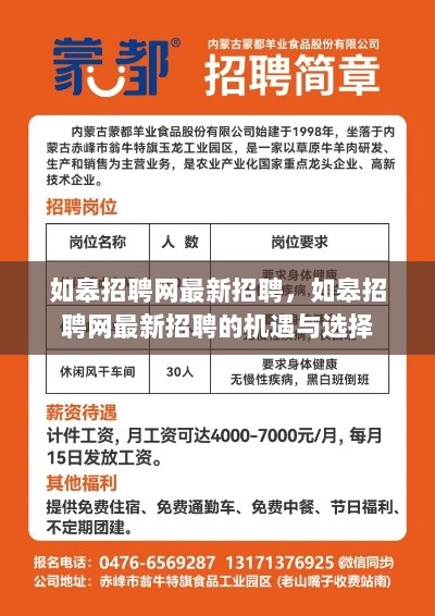 如皋招聘网最新招聘，机遇与选择的探讨