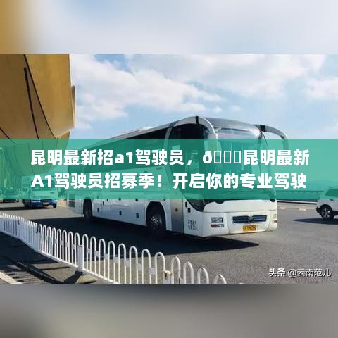 昆明A1驾驶员火热招募中，开启专业驾驶之旅！