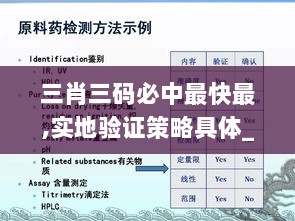 三肖三码必中最快最,实地验证策略具体_分析版MAU4.47