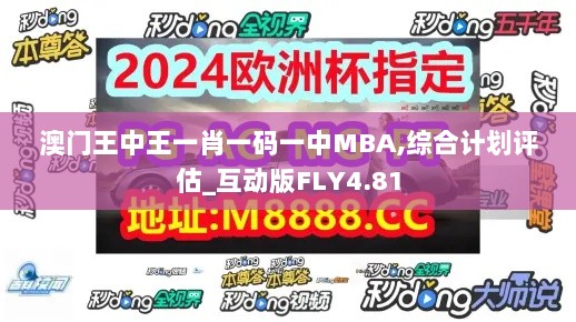 澳门王中王一肖一码一中MBA,综合计划评估_互动版FLY4.81