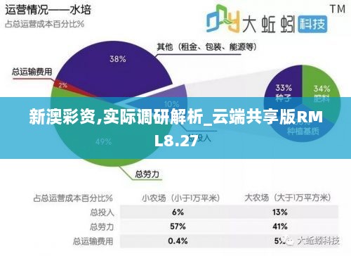 新澳彩资,实际调研解析_云端共享版RML8.27