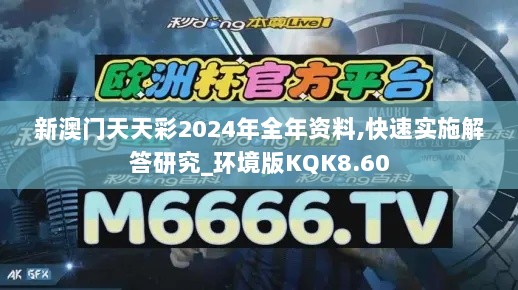 新澳门天天彩2024年全年资料,快速实施解答研究_环境版KQK8.60