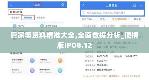 管家婆资料精准大全,全面数据分析_便携版IPO8.12