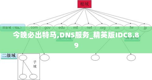 今晚必出特马,DNS服务_精英版IDC8.89