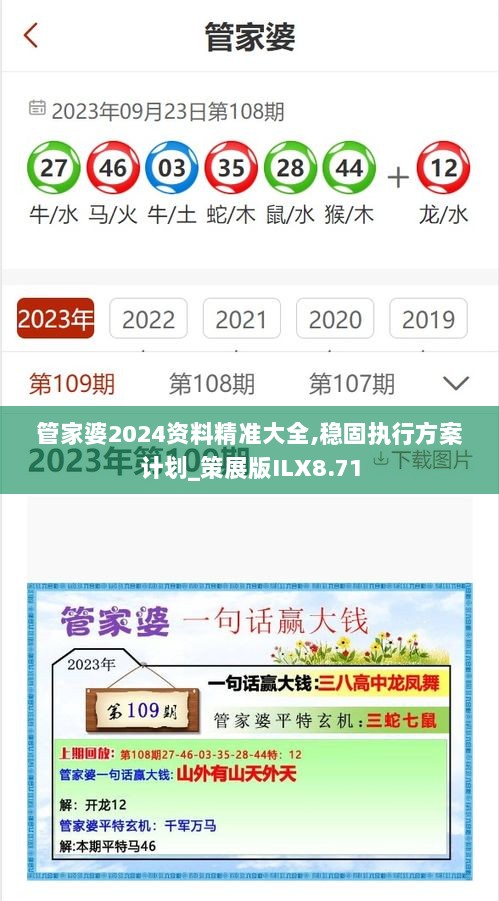 管家婆2024资料精准大全,稳固执行方案计划_策展版ILX8.71