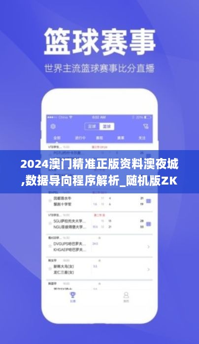 2024澳门精准正版资料澳夜城,数据导向程序解析_随机版ZKZ8.56