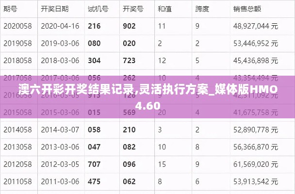 澳六开彩开奖结果记录,灵活执行方案_媒体版HMO4.60