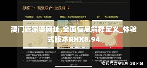 澳门管家婆网址,全面信息解释定义_体验式版本RHX8.94