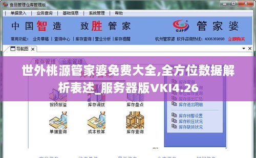 世外桃源管家婆免费大全,全方位数据解析表述_服务器版VKI4.26