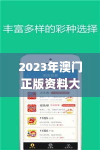 2023年澳门正版资料大全完整版,系统评估分析_商务版KVI8.22