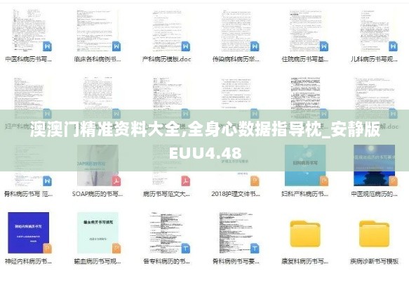 澳澳门精准资料大全,全身心数据指导枕_安静版EUU4.48