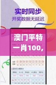 澳门平特一肖100,高效计划实施_亲和版CFU8.25