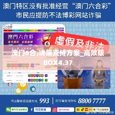 澳门6合,决策支持方案_高效版BOX4.37