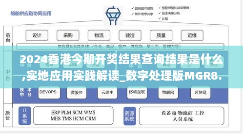 2024香港今期开奖结果查询结果是什么,实地应用实践解读_数字处理版MGR8.87