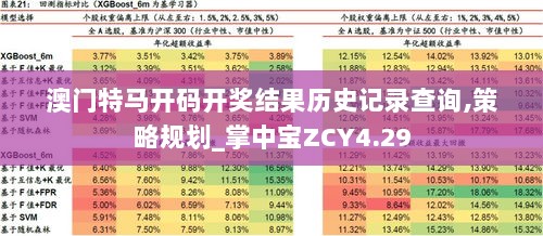 澳门特马开码开奖结果历史记录查询,策略规划_掌中宝ZCY4.29