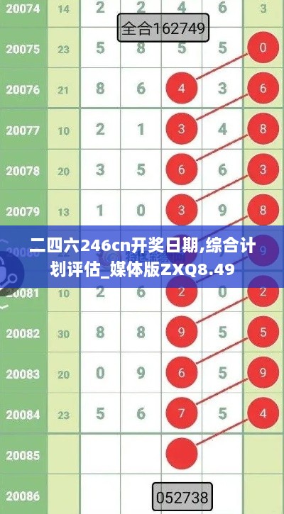 二四六246cn开奖日期,综合计划评估_媒体版ZXQ8.49