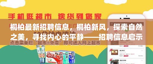 桐柏新风招聘信息，探索自然之美，寻找内心平静的招聘启事