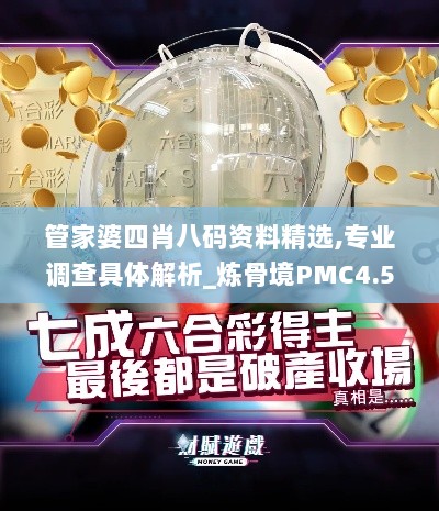 管家婆四肖八码资料精选,专业调查具体解析_炼骨境PMC4.55