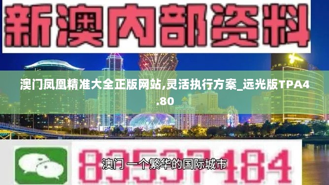 澳门凤凰精准大全正版网站,灵活执行方案_远光版TPA4.80