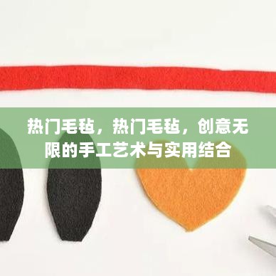 热门毛毡，创意无限的手工艺术与实用结合