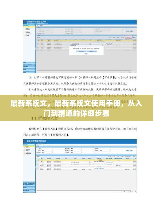 最新系统文使用手册，从入门到精通的详细步骤