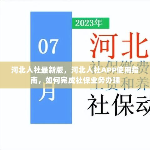 河北人社APP使用指南，如何快速完成社保业务办理