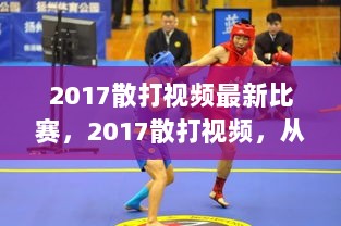 2017散打视频，从入门到精通的比赛全解析