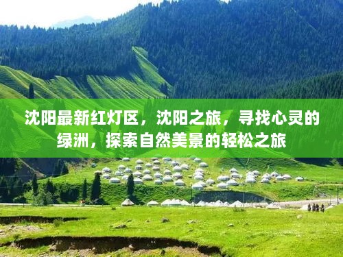 沈阳自然探索之旅，寻找心灵的绿洲与自然美景的轻松之旅